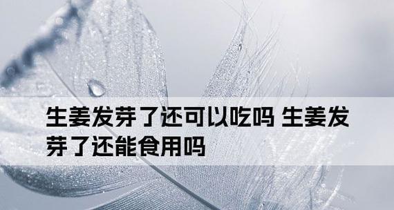 姜发芽了还能吃吗？（了解发芽姜的好处与坏处，避免误食带来的危害）