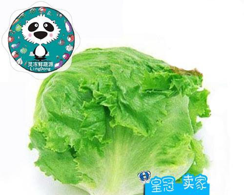 西生菜（了解西生菜的营养价值和食用方法）