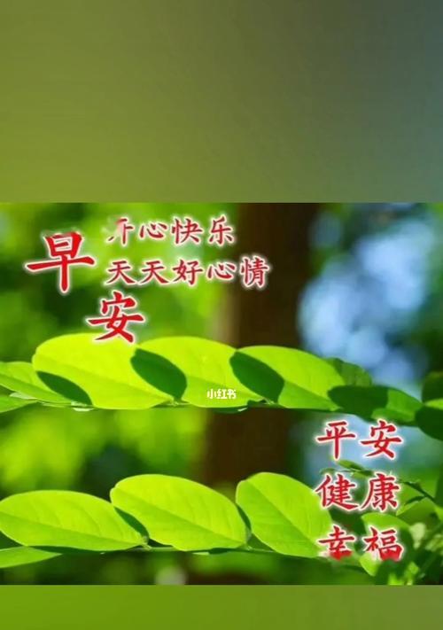 盼望之花（绽放希望，铺就未来）