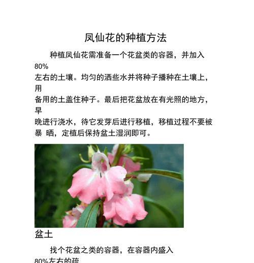 凤仙花的种植与养护（如何在一盆凤仙花中合理种植和管理，让它长得更美丽健康？）