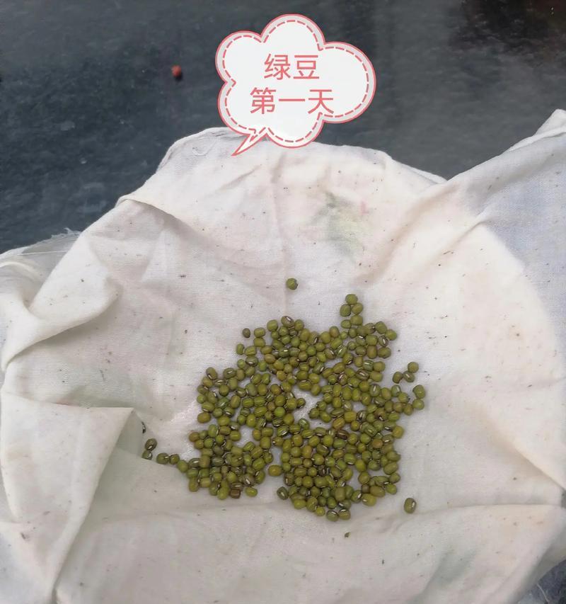 绿豆发芽的营养与食用方法