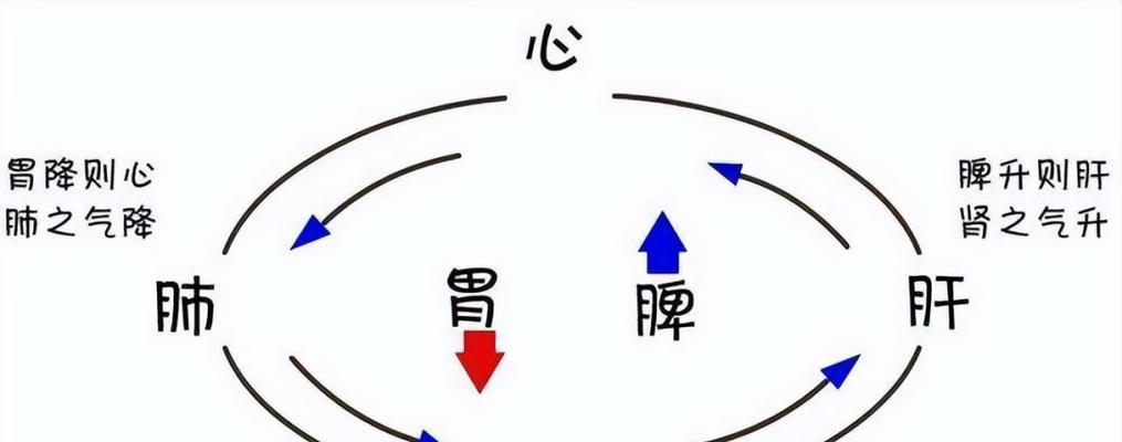 鸿运当头，到底是怕冷还是怕热？（揭开鸿运背后的秘密，为您解答迷惑！）