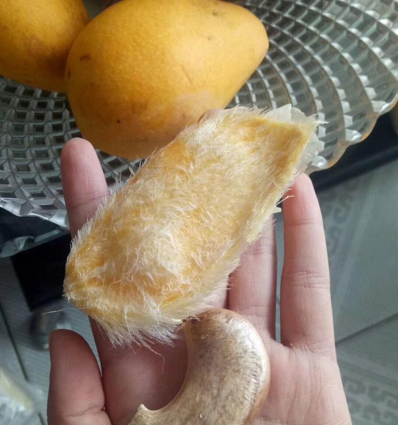 从花谢到果熟，每一个环节都是精彩的生命之旅（从花谢到果熟，每一个环节都是精彩的生命之旅）