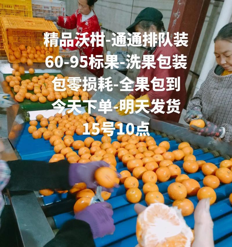 沃柑落果应对措施（危机转机，如何应对沃柑落果？）