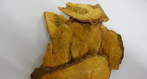 格桑花的功效与禁忌（了解格桑花的营养价值和用途）