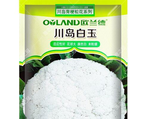 花菜种子的产生过程（花菜种子的来源和形成过程）