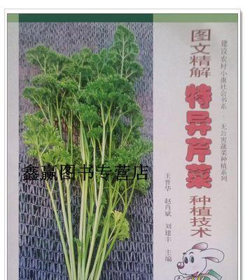 芹菜的种植时间和方法详解（小白也能轻松种出好芹菜，从选地到收获全知道！）