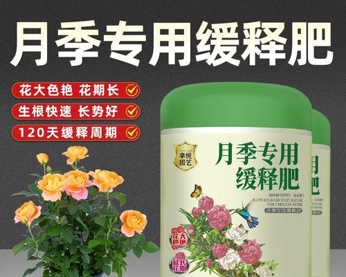 如何解决玫瑰花叶子发黄问题？（玫瑰花叶子发黄的原因和解决方案。）