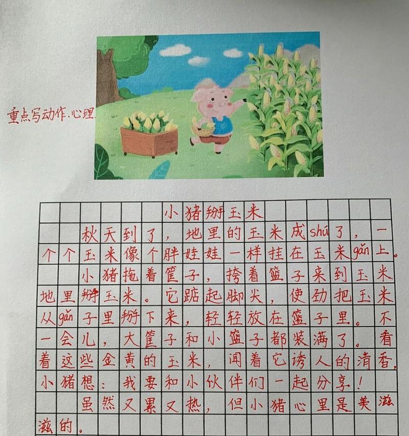探秘玉米的样子和特点（从外表到内部结构，深入了解玉米的生命之美）