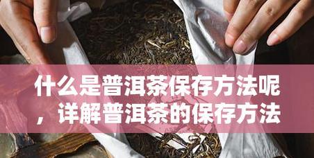 茶叶的最佳保存方法（让你的茶叶保持新鲜的技巧与方法）