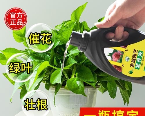 让发财树长得更好的花土配制方法（自己动手，让发财树更发财）