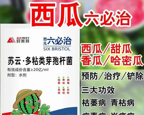 甜瓜炭疽病的发病原因及治疗方法（探究甜瓜炭疽病的成因及药物治疗）