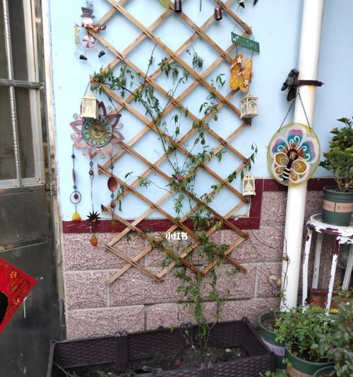 黄木香叶子发黄该如何处理（解决黄木香叶子发黄的问题，保证植物健康）