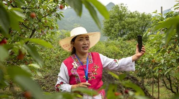 西昌樱桃上市时间详解（西昌樱桃成熟期、上市季节、销售市场及特点分析）