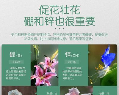 果树催花的时间和方法（了解催花的诀窍，让果树生长更加丰盛）