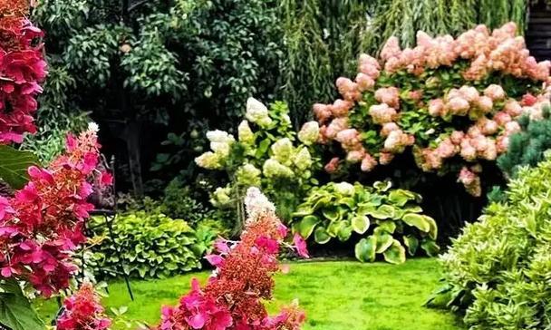 东北花卉种植指南（探寻适合东北地区的花卉品种）