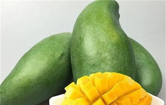 青芒的选择与品尝（如何挑选好吃的青芒？）