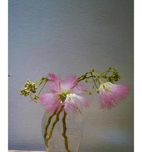 和合花的历史渊源（和合花的历史渊源）