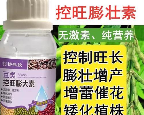 毛豆生长周期剖析（了解毛豆的生长周期，从而顺利丰收）