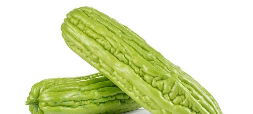 苦瓜的成熟季节（几月份的蔬菜最适宜品尝）