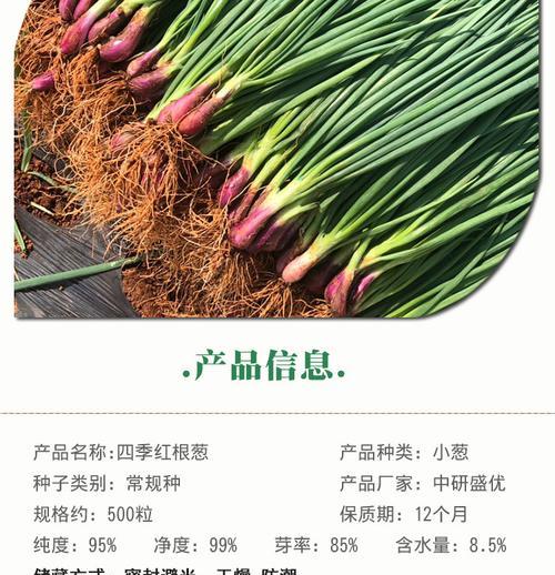大葱发芽出苗多久？详解发芽时间及苗高（掌握关键步骤，让大葱更快发芽长苗）