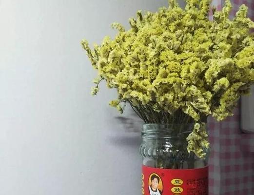 酸奶浇花（让你的植物健康茁壮成长）