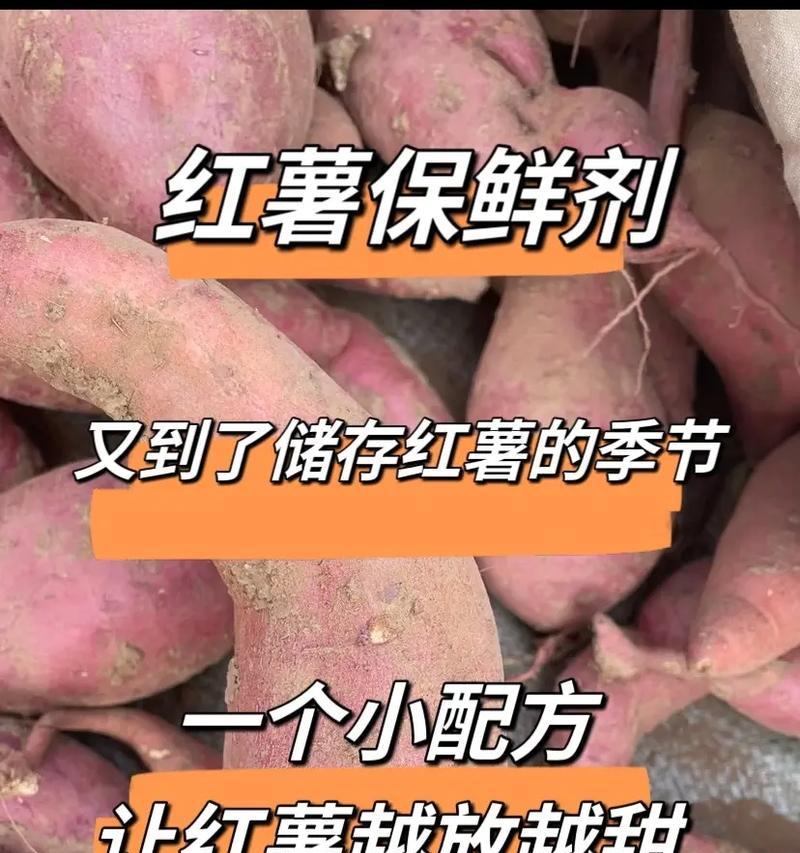 山芋保存技巧大揭秘（如何让山芋更长久地储存？）