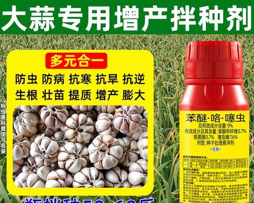 大蒜治菌核病——一种天然有效的药物（从大蒜中提取的天然化合物可抑制菌核病的发生与扩散）