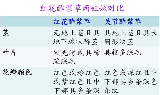 红花酢浆草的繁殖方法和注意事项（掌握关键技巧，让红花酢浆草在您的园林中飞速繁殖）