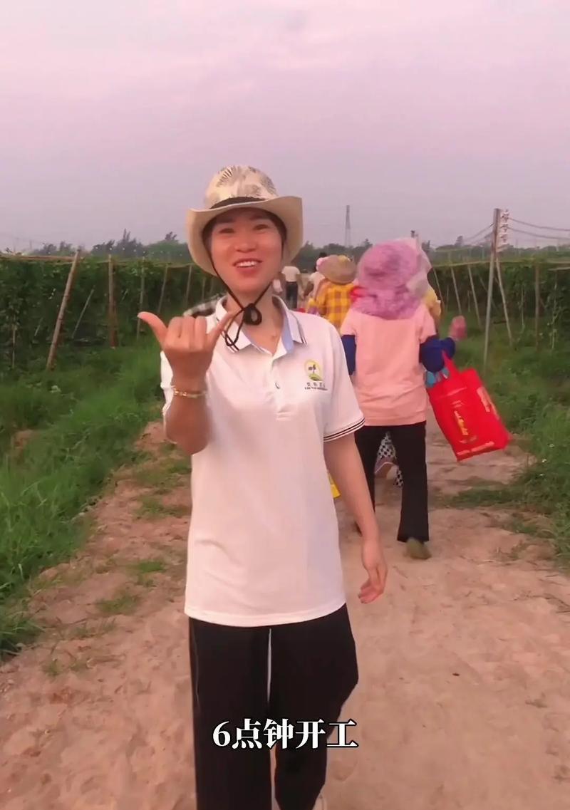 如何正确剪枝百香果？（掌握百香果修剪整枝技术及方法，助力良好果实生长）