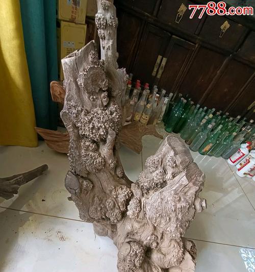 探秘柏树根的形态特征（观察柏树根部结构及其功能）