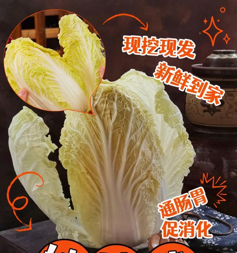 娃娃菜的保存期限与方法（如何让娃娃菜更久地保持新鲜）