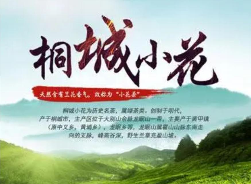 翠兰的养殖方法与养护要点（打造花园中的美丽翠兰）