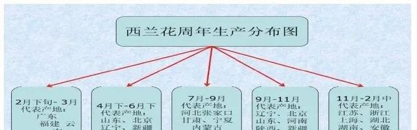 如何选择最佳的西兰花播种时间（西兰花种植时间表与技巧）