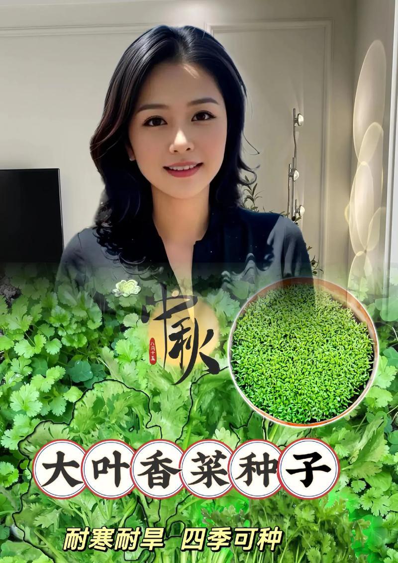 大叶蔬菜的种类及营养价值（探究大叶蔬菜的丰富品种和营养成分）