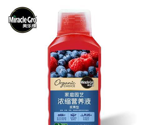 树苗施肥指南（选择最佳肥料，助力健康成长）