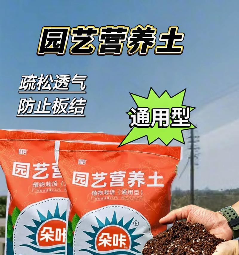 雅乐之舞的土壤配方与种植技巧（探秘土壤的神秘配方，让你成为土壤大师！）