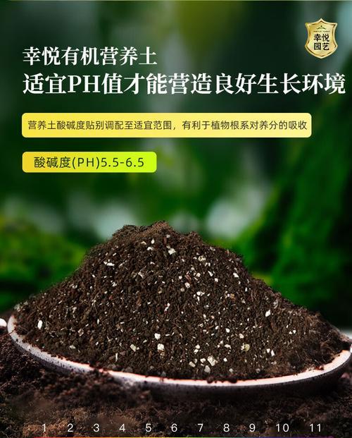 营养土适合种什么植物？-找寻植物与土壤的完美配对