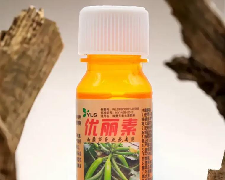 葫芦催花的时间和方法（让葫芦开花更早更好的方法与技巧）