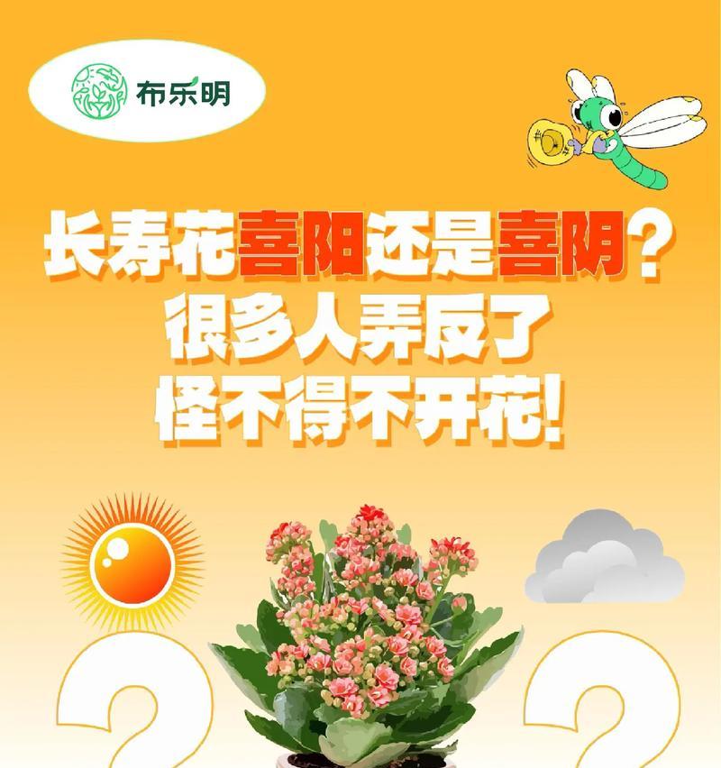 鸿运当头（探讨鸿运之道，以自然元素为突破口，解析喜阳喜阴的奥妙。）