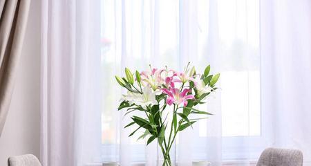 百合花在卧室的好处（百合花给你带来健康与美好的睡眠）