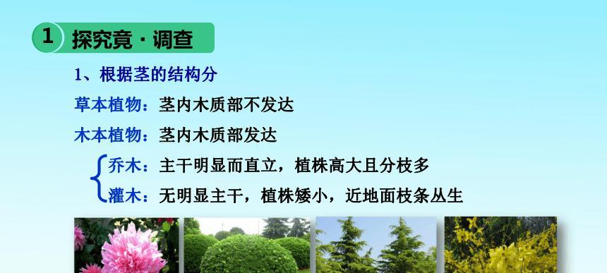 黄杨的种植与利用（黄杨果的油脂含量及其在食品、化妆品和医药中的应用）
