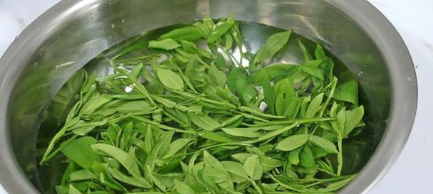 花椒树叶子发黑解决方法（保持花椒树健康，预防叶片黑化）