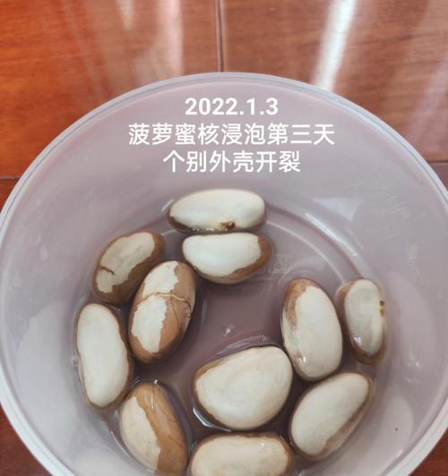 菠萝蜜核可以生吃吗？——解析常见的关于菠萝蜜核的谣言（探究菠萝蜜核的食用方式、营养价值和安全性）