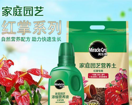 红掌换土，正确时间和方法不容忽视！（掌握换土技巧，让红掌健康生长）