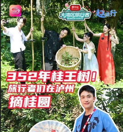 探究桂圆几年结果实的秘密（了解桂圆成果期、产量和品质的关系）