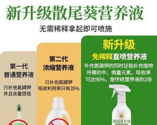 凤尾竹黄叶处理方法大揭秘！（教你一招不让凤尾竹叶子再变黄）