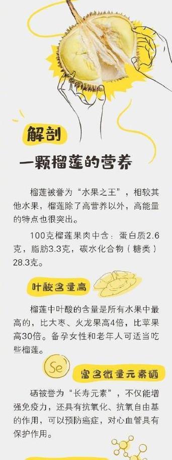 榴莲核的功效与作用（探究榴莲核的健康价值）