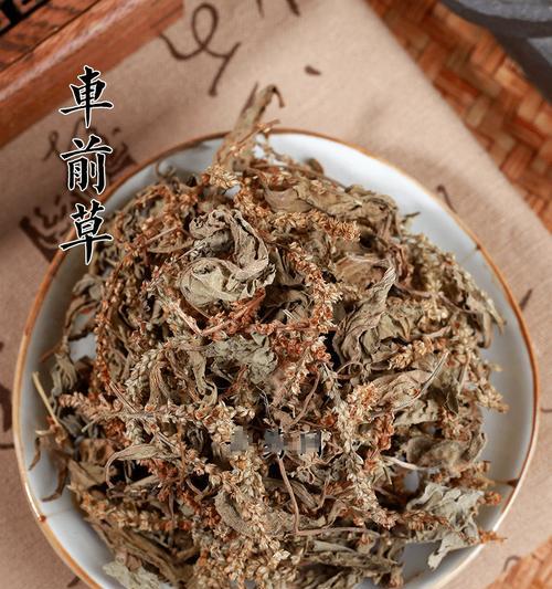车前草和车前子的区别（了解车前草和车前子的特点和功效）