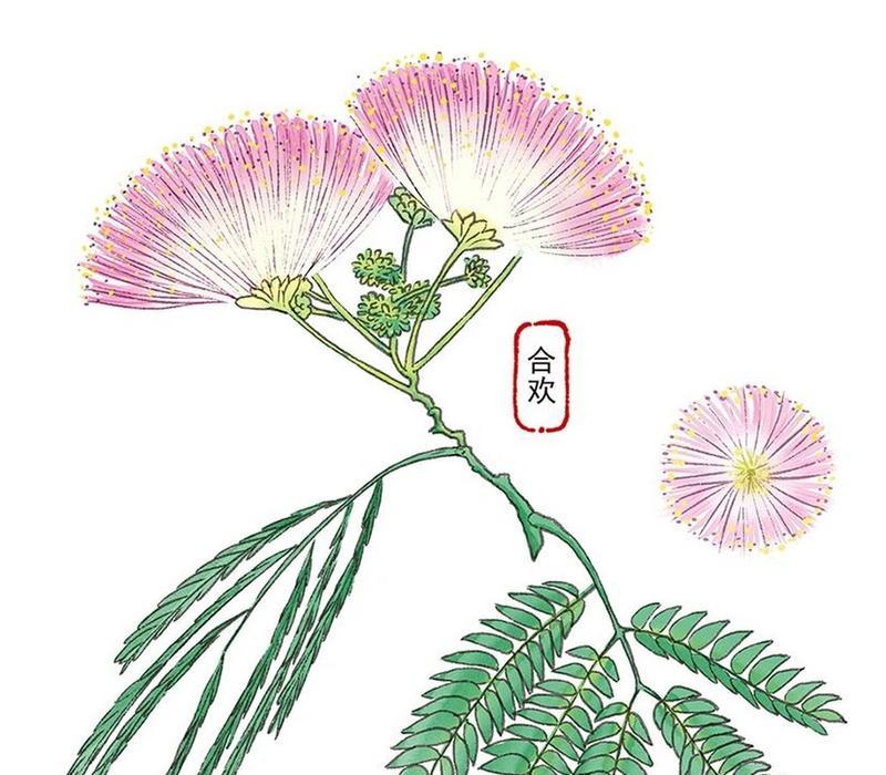 和合花的亲戚——相似度极高的花卉种类介绍（探寻和合花的姊妹花种，发现她们的秘密）